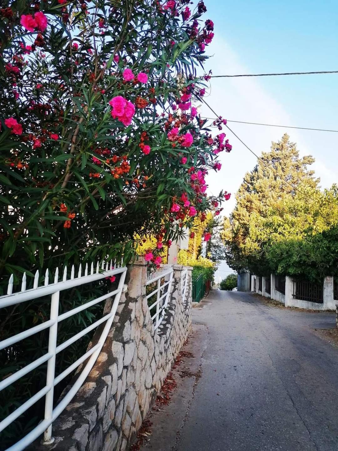 Apartmani Ljubica Utjeha Εξωτερικό φωτογραφία